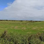Kiek Mol Wedder In * Borkum