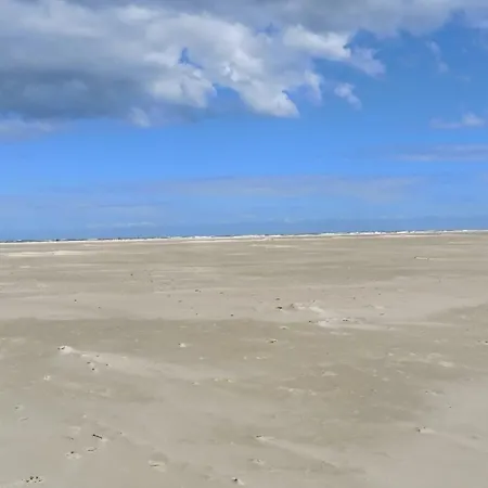 Kiek Mol Wedder In *