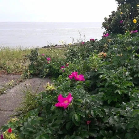 Kiek Mol Wedder In Apartmán