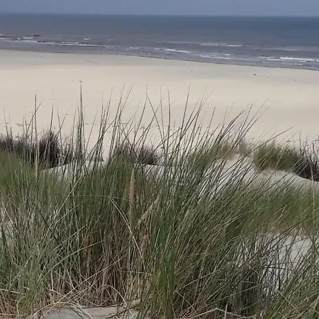 Kiek Mol Wedder In *