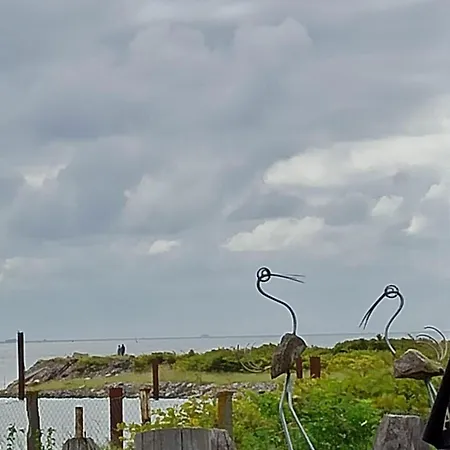 Kiek Mol Wedder In *