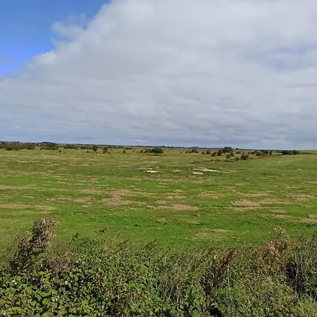 Kiek Mol Wedder In * Borkum