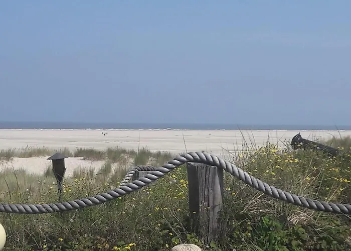 Kiek Mol Wedder In 公寓