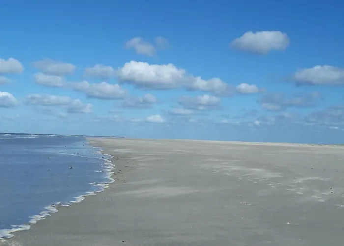 公寓 Kiek Mol Wedder In *