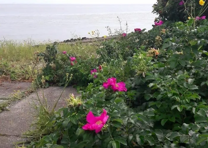 Kiek Mol Wedder In 公寓