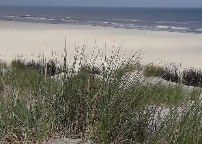 Kiek Mol Wedder In *