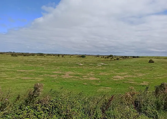 Kiek Mol Wedder In * 博尔库姆